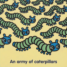 Calling All Animals_5