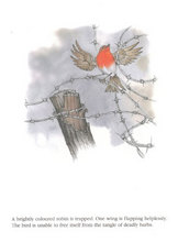 In Flanders Fields_2