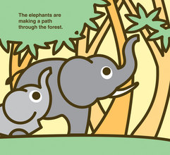 Simply Small Series - Ollie_2