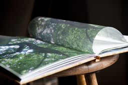 The Boy in the Oak_9