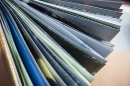 The Boy in the Oak_7