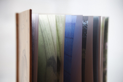 The Boy in the Oak_8