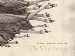The Wild Swans_1