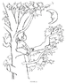 Moon coloring page--tree
